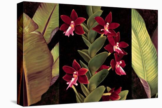 Red Orchids & Palm Leaves-Rodolfo Jimenez-Stretched Canvas