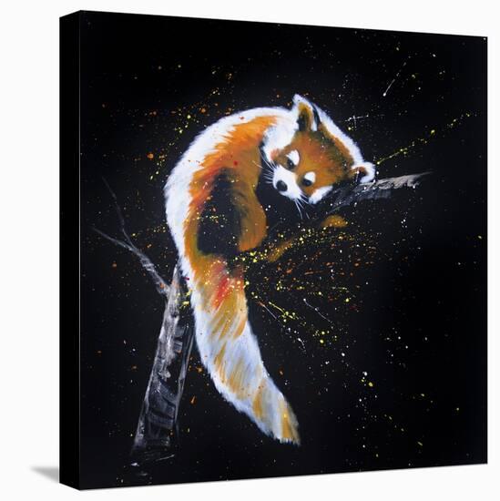 Red Panda In A Tree-null-Stretched Canvas