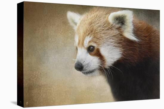 Red Panda Watching-Jai Johnson-Premier Image Canvas