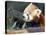 Red Panda Xia-Tschung-Mao Feeds on Bamboo-null-Premier Image Canvas