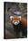 Red Panda-DLILLC-Premier Image Canvas