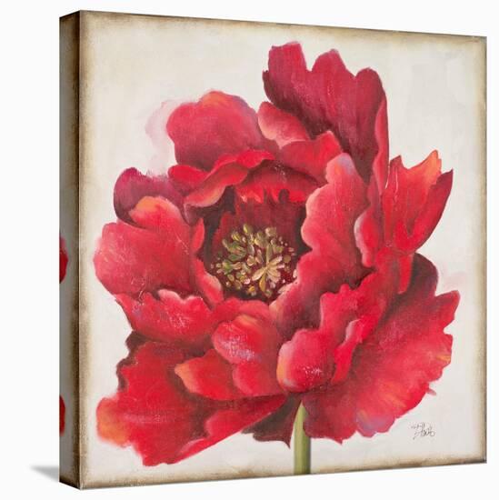 Red Peony-Patricia Pinto-Stretched Canvas