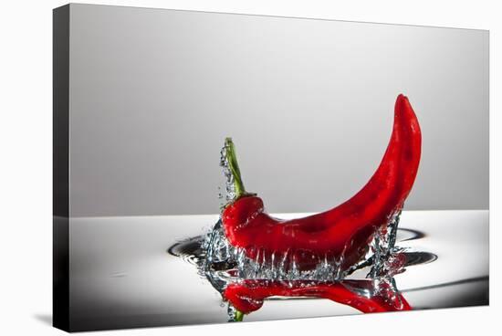 Red Pepper FreshSplash-Steve Gadomski-Premier Image Canvas