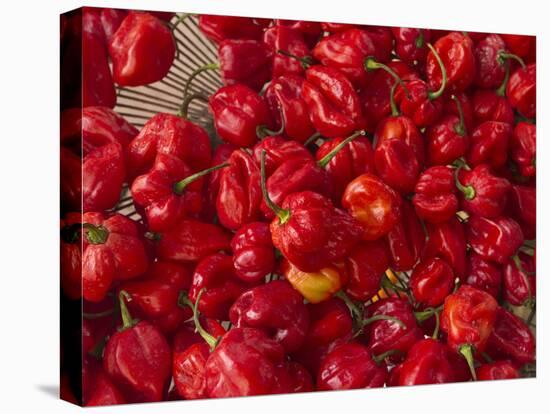 Red Peppers at the Saturday Market, San Ignacio, Belize-William Sutton-Premier Image Canvas