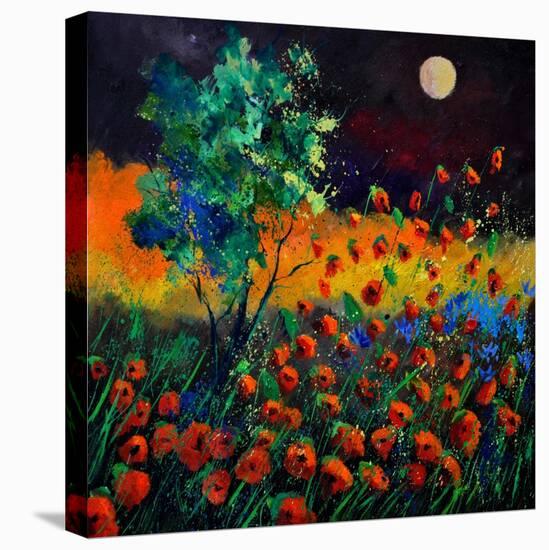 Red Poppies 774111-Pol Ledent-Stretched Canvas