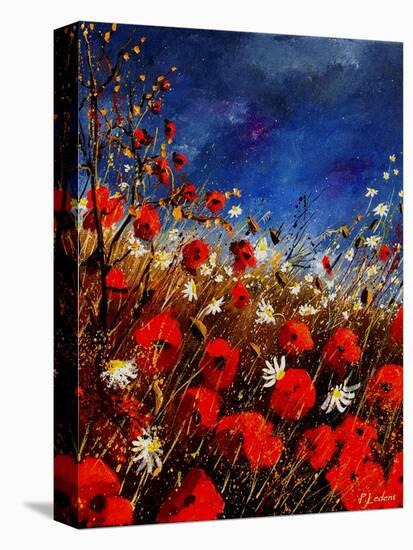 Red Poppies Against A Stormy Sky-Pol Ledent-Stretched Canvas