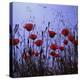 Red Poppies Growing in a Grassy Field-Paul Schutzer-Premier Image Canvas