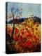 Red Poppies in Provence 45-Pol Ledent-Stretched Canvas