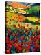 Red poppies in Tuscany (Italy)-Pol Ledent-Stretched Canvas