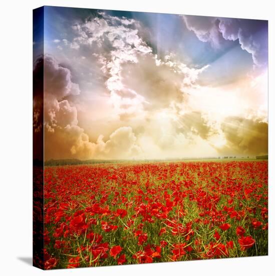 Red Poppies on Green Field, Sky and Clouds-Volokhatiuk-Premier Image Canvas