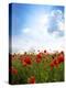 Red Poppies on Green Field, Sky and  Clouds-Volokhatiuk-Premier Image Canvas