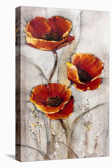Red Poppies on Taupe I-Tim O'toole-Stretched Canvas