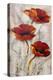 Red Poppies on Taupe II-Tim O'toole-Stretched Canvas