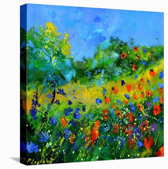 Red poppies-Pol Ledent-Stretched Canvas