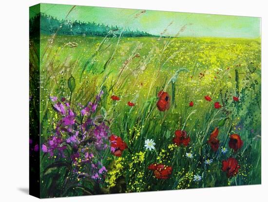 Red poppies-Pol Ledent-Stretched Canvas