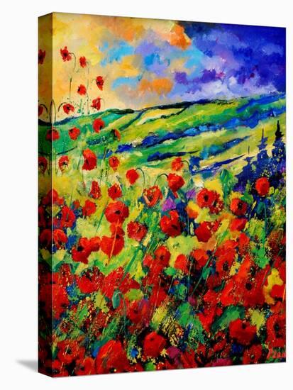 red poppies-Pol Ledent-Stretched Canvas