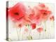 Red Poppies-Sheila Golden-Stretched Canvas