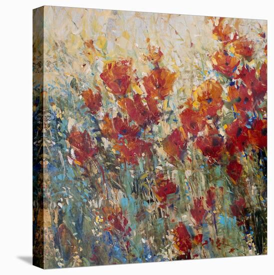 Red Poppy Field I-Tim O'toole-Stretched Canvas