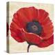 Red Poppy I-Tim OToole-Stretched Canvas