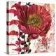 Red Poppy Story-Melissa Pluch-Stretched Canvas