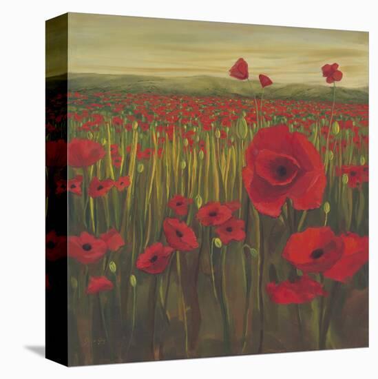Red Poppy Sunrise-null-Stretched Canvas