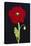 Red Poppy-Soraya Chemaly-Premier Image Canvas