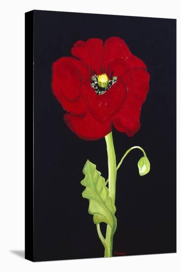 Red Poppy-Soraya Chemaly-Premier Image Canvas