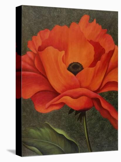 Red Poppy-John Zaccheo-Premier Image Canvas