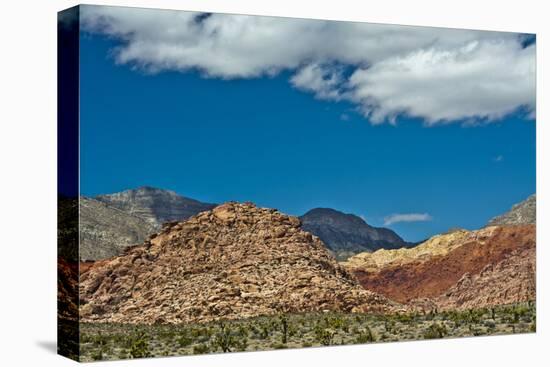 Red Rock Canyon National Conservation Area, Nevada, USA.-Michel Hersen-Premier Image Canvas