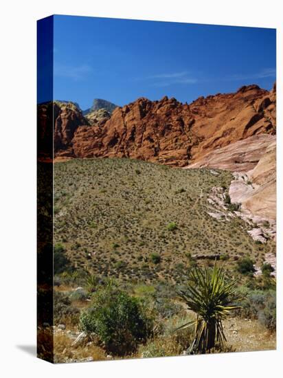 Red Rock Canyon, Spring Mountains, 15 Miles West of Las Vegas in the Mojave Desert, Nevada, USA-Fraser Hall-Premier Image Canvas