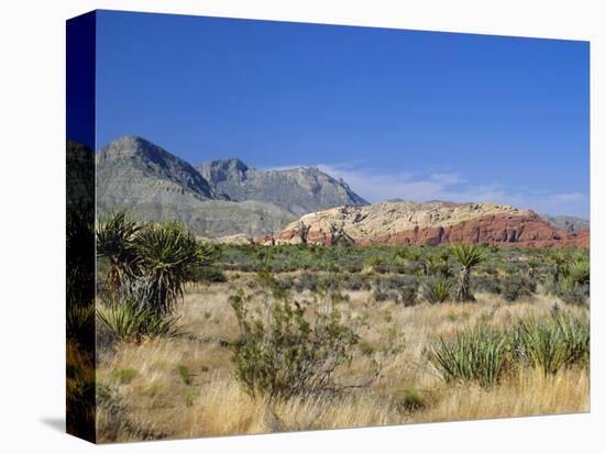 Red Rock Canyon, Spring Mountains, 15 Miles West of Las Vegas in the Mojave Desert, Nevada, USA-Fraser Hall-Premier Image Canvas