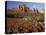 Red Rock Country, Sedona, Arizona, USA-Jamie & Judy Wild-Premier Image Canvas