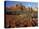 Red Rock Country, Sedona, Arizona, USA-Jamie & Judy Wild-Premier Image Canvas