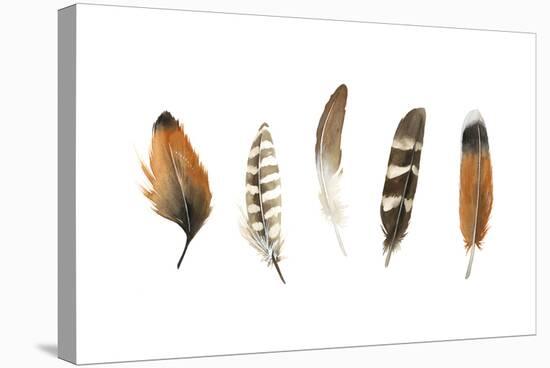 Red Rock Feathers I-Grace Popp-Stretched Canvas