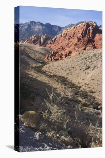 Red Rock National Conservation Area, Las Vegas, Nevada, United States-Natalie Tepper-Stretched Canvas