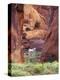 Red Rock, White Horse, White Mountains, Canyon De Chelly, Arizona, USA-Nancy Rotenberg-Premier Image Canvas