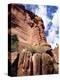 Red Rocks, Sedona, Arizona, USA-R H Productions-Premier Image Canvas