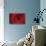 Red Rose Detail-Erin Berzel-Premier Image Canvas displayed on a wall