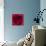 Red Rose I-Monika Burkhart-Premier Image Canvas displayed on a wall
