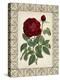 Red Rose with Wrought Iron BorderII-null-Stretched Canvas