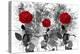 Red Roses-Ata Alishahi-Premier Image Canvas