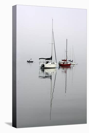Red Sailboat II-Tammy Putman-Premier Image Canvas