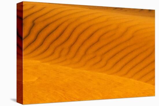 Red sand dune in southern Namib Desert, Sesriem, Hardap Region, Namibia-Keren Su-Premier Image Canvas