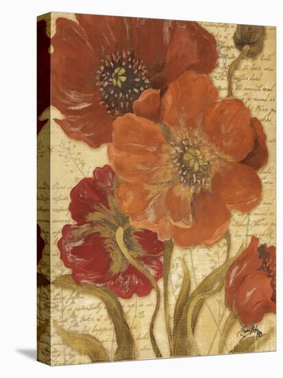 Red Scripted Beauty I-Elizabeth Medley-Stretched Canvas