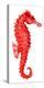 Red Seahorse-null-Stretched Canvas