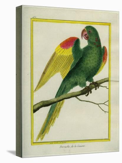 Red-Shouldered Macaw-Georges-Louis Buffon-Premier Image Canvas