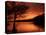Red Sky at Sunset, Coniston Water, Consiton, Lake District, Cumbria, England, United Kingdom-Pearl Bucknall-Premier Image Canvas