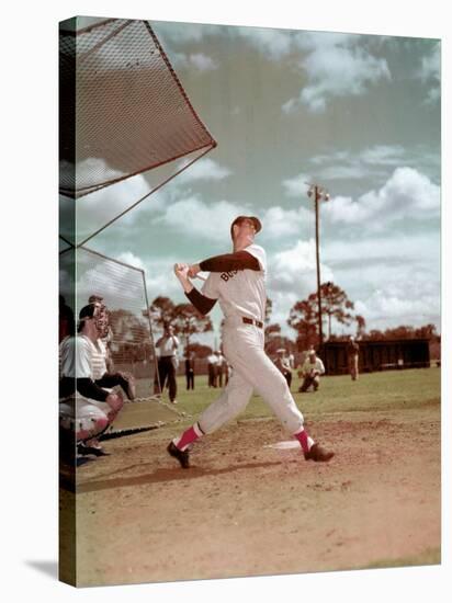 Red Sox Baseball Star Ted Williams at Bat-Frank Scherschel-Premier Image Canvas