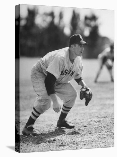 Red Sox John Pesky Getting Ready for the Hit-Frank Scherschel-Premier Image Canvas