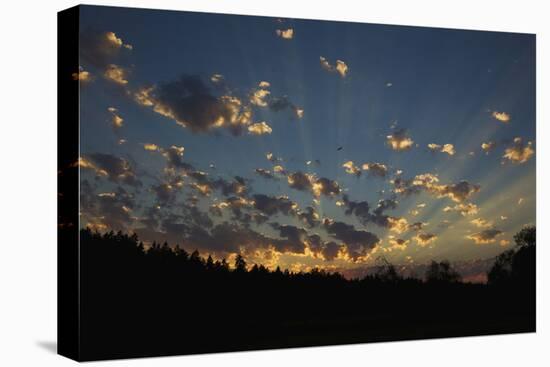 Red-Tail Hawk Sunset-Ken Archer-Premier Image Canvas